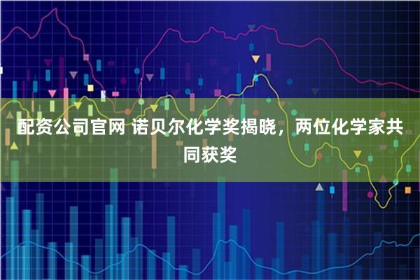 配资公司官网 诺贝尔化学奖揭晓，两位化学家共同获奖